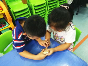 市委幼教集团 总园 舌尖上的安全