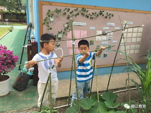 我区举行幼儿园精品课程展示交流会