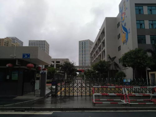 直击现场 厦门这家纯新盘主打47㎡起精品住宅, 最快月底...