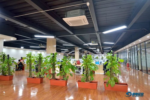 技术、规模与理念再跨新高度 参观天逸厂乔迁新厂区暨中心幼儿园剪影